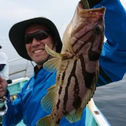 シードリーム 釣果