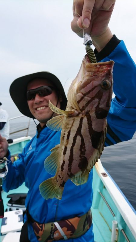 シードリーム 釣果