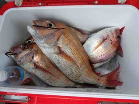 遊漁船 セトマリン 釣果