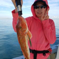 遊漁船　ニライカナイ 釣果