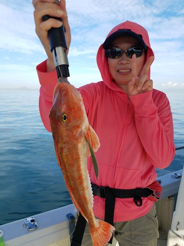 遊漁船　ニライカナイ 釣果