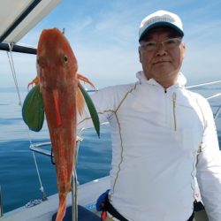 遊漁船 ニライカナイ 釣果