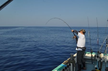 八海丸 釣果