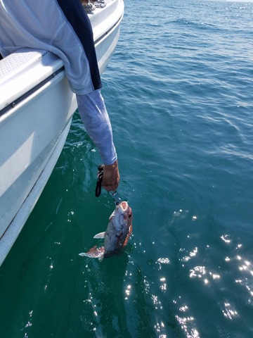 遊漁船 ニライカナイ 釣果