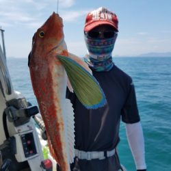 遊漁船 ニライカナイ 釣果