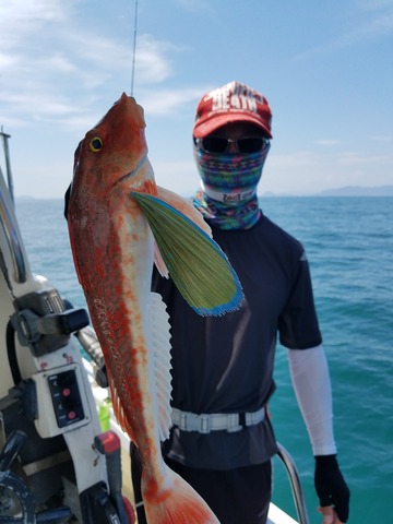 遊漁船 ニライカナイ 釣果