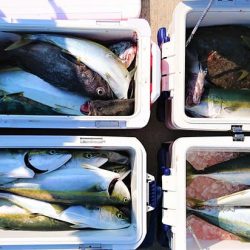 気仙沼　つり丸 釣果