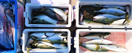 気仙沼　つり丸 釣果