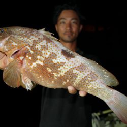 TOPGUN名古屋 釣果