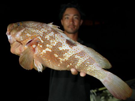 TOPGUN名古屋 釣果