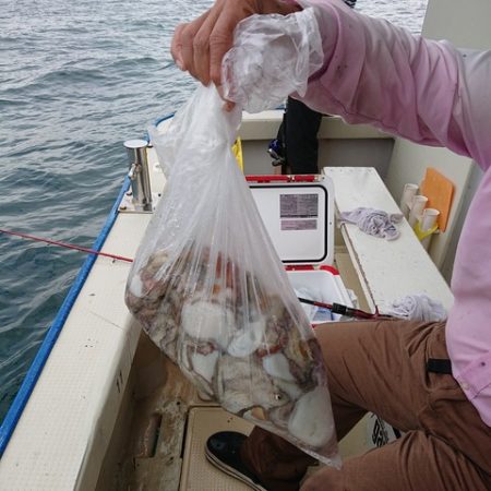 たかみ丸 釣果