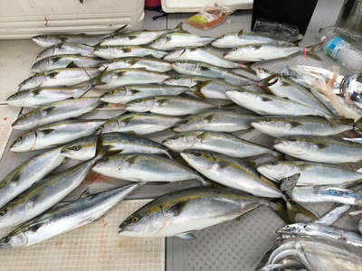 ミタチ丸 釣果
