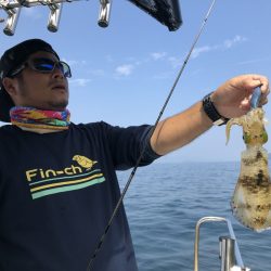 Magic(マジック) 釣果