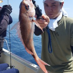 海峰 釣果