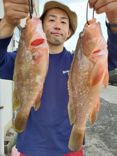 桑田観光 釣果