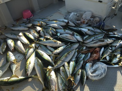 ミタチ丸 釣果