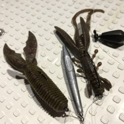 Magic(マジック) 釣果