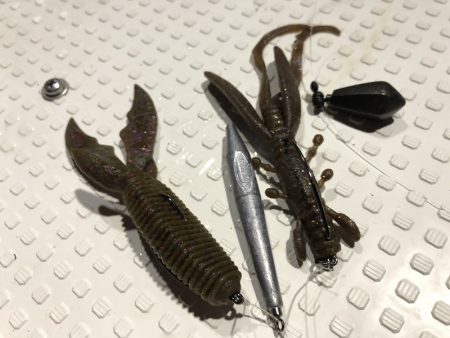 Magic(マジック) 釣果