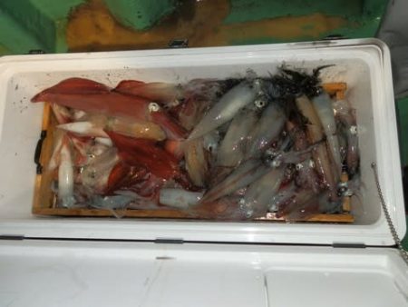 第二むつ漁丸 釣果