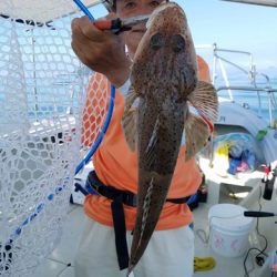 遊漁船 ニライカナイ 釣果