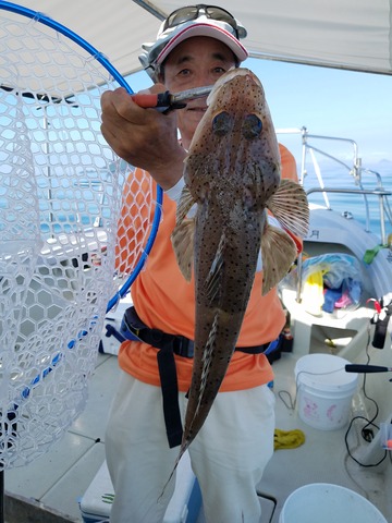 遊漁船 ニライカナイ 釣果