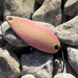 フィッシング サンクチュアリ 釣果