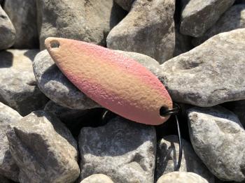 フィッシング サンクチュアリ 釣果