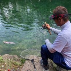 フィッシング サンクチュアリ 釣果