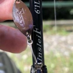 フィッシング サンクチュアリ 釣果