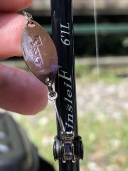 フィッシング サンクチュアリ 釣果