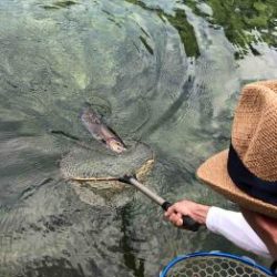 フィッシング サンクチュアリ 釣果