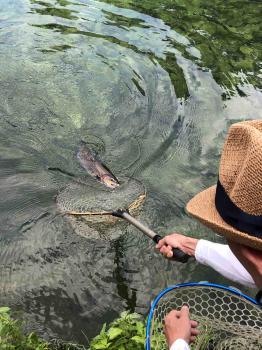 フィッシング サンクチュアリ 釣果