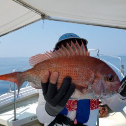 遊漁船　ニライカナイ 釣果