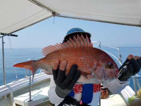 遊漁船　ニライカナイ 釣果