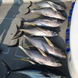 へいみつ丸 釣果