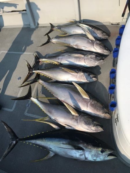 へいみつ丸 釣果