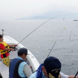 遊漁船 遊友 釣果