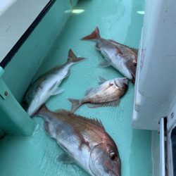 さんさん丸 釣果