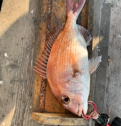 幸吉丸 釣果