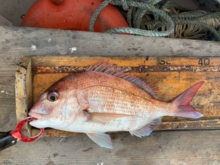 幸吉丸 釣果