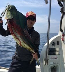 シーモンキー 釣果