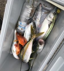 シーモンキー 釣果