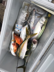 シーモンキー 釣果