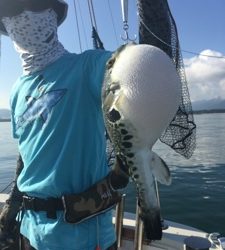 シーモンキー 釣果