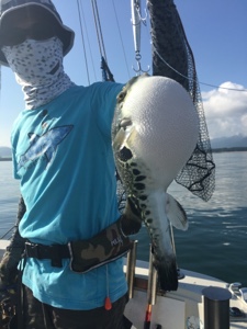 シーモンキー 釣果