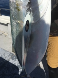 シーモンキー 釣果