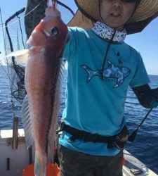 シーモンキー 釣果