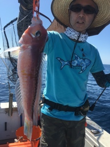 シーモンキー 釣果