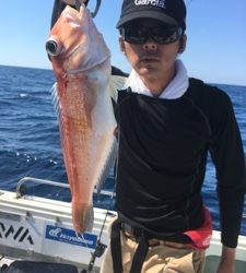 シーモンキー 釣果