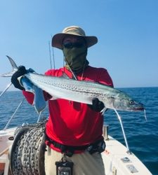 シーモンキー 釣果